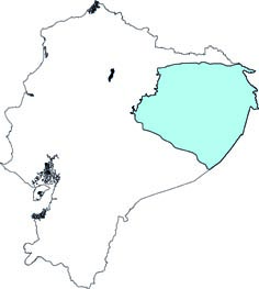 Mustela africana