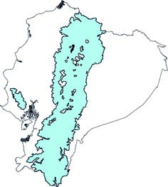 Mustela frenata