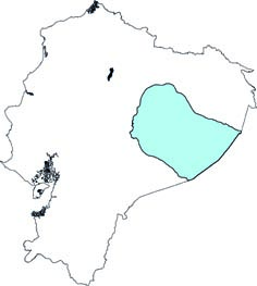 Myotis caucensis