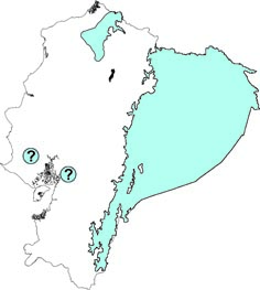 Myrmecophaga tridactyla