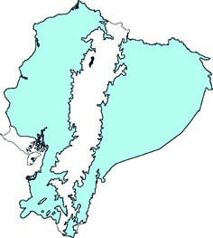 Nasua nasua nuevo
