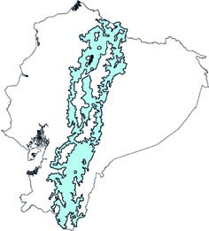 Nasuela olivacea
