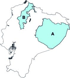 Neacomys minutus y N tenuipes