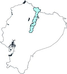 Neomicroxus latebricola