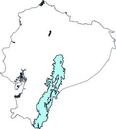 Nephelomys auriventer