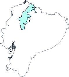 Nephelomys moerex
