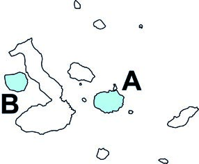 Nesoryzomys darwini y N fernandinae