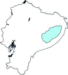 Neusticomys peruviensis