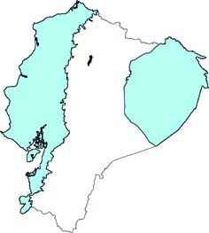 Noctilio leporinus