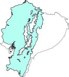 Notosciurus granatensis