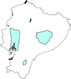 Nyctinomops macrotis