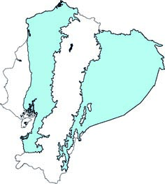 Phylloderma stenops