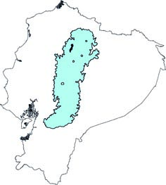 Phyllotis haggardi