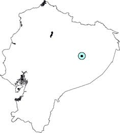 Pithecia aequatorialis