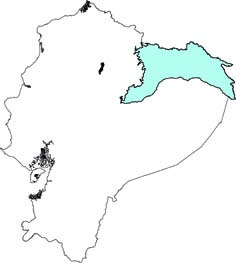 Pithecia milleri