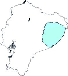 Pithecia napensis