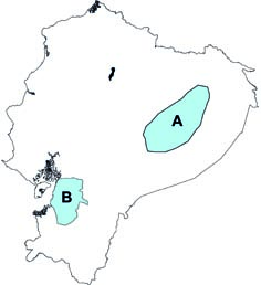 Platyrrhinus fusciventris y P nitelinea