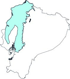 Platyrrhinus helleri