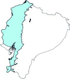 Platyrrhinus matapalensis
