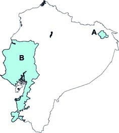 Proechimys decumanus y P cuvieri
