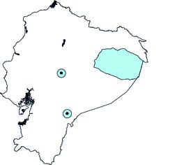 Promops centralis