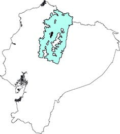 Reithrodontomys soederstroemi