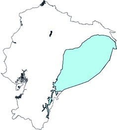 Scolomys ucayalensis