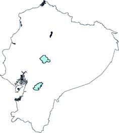 Sigmodon inopinatus
