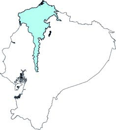 Sigmodontomys alfari