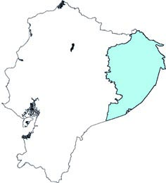 Sotalia fluviatilis