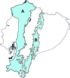 Sturnira ludovici y S oporaphilum