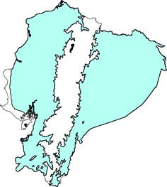 Sylvilagus brasiliensis