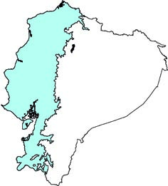 Tamandua mexicana