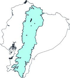 Tapirus pinchaque