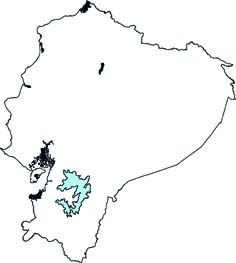 Thomasomys auricularis
