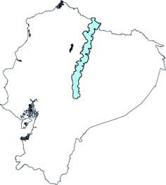 Thomasomys cinnameus