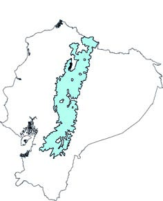 Thomasomys paramorum