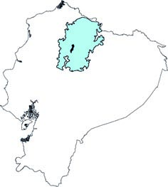 Thomasomys vulcani