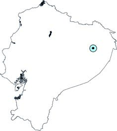 Thyroptera lavali