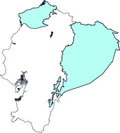 Tonatia saurophila