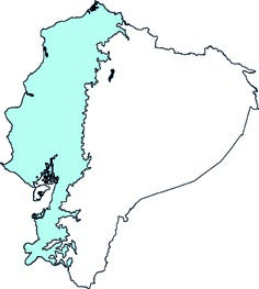 Transandinomys talamancae