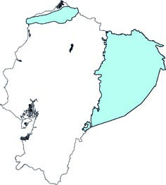 Trinycteris nicefori