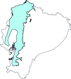 Uroderma convexum