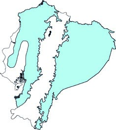 Vampyressa thyone