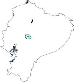 Vicugna vicugna